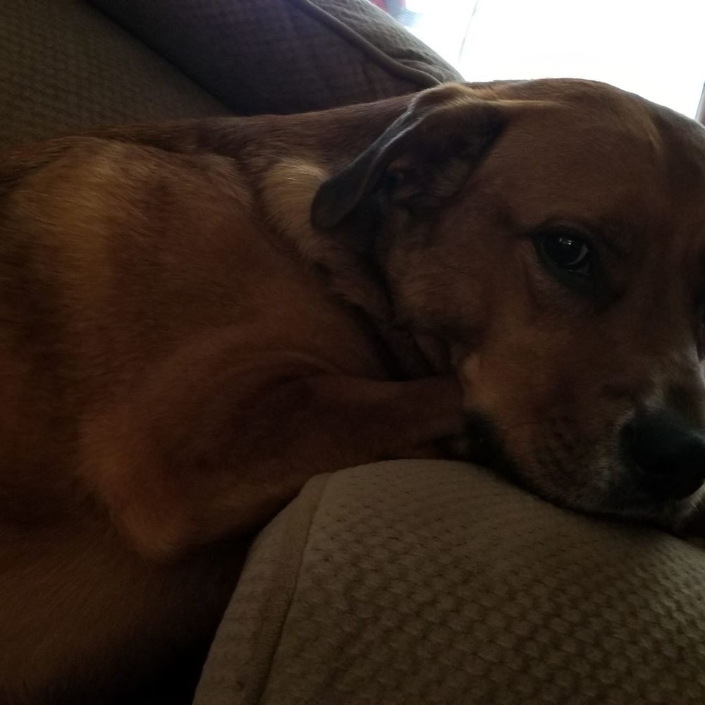 Meet your Posher, Christina